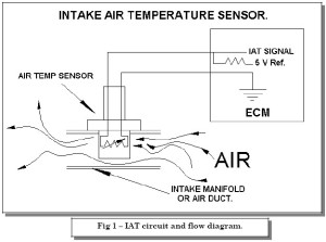 IAT-300x223.jpg